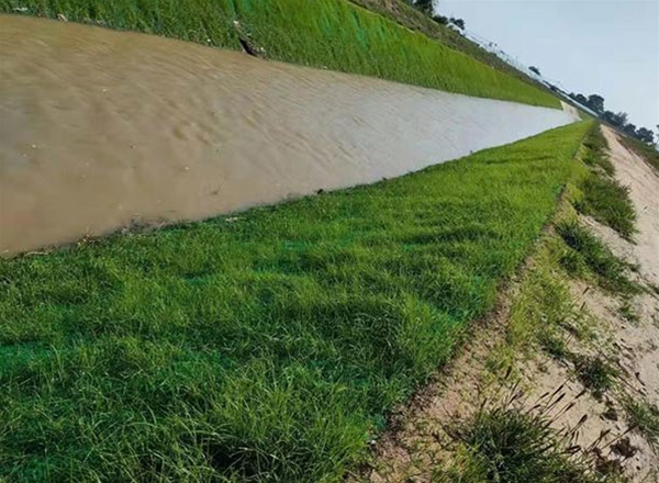 高陡邊坡專(zhuān)用毯